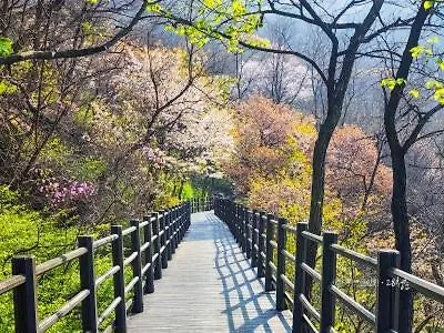 Hongdae 10 Min Family 2br Direct Airport Bus From Icn Airport