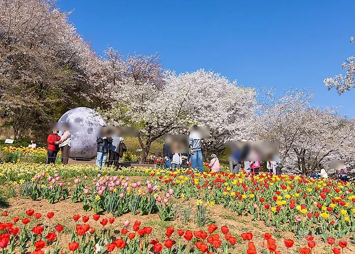 Villa Hongdae 10 Min Family 2br Direct Airport Bus From Icn Airport